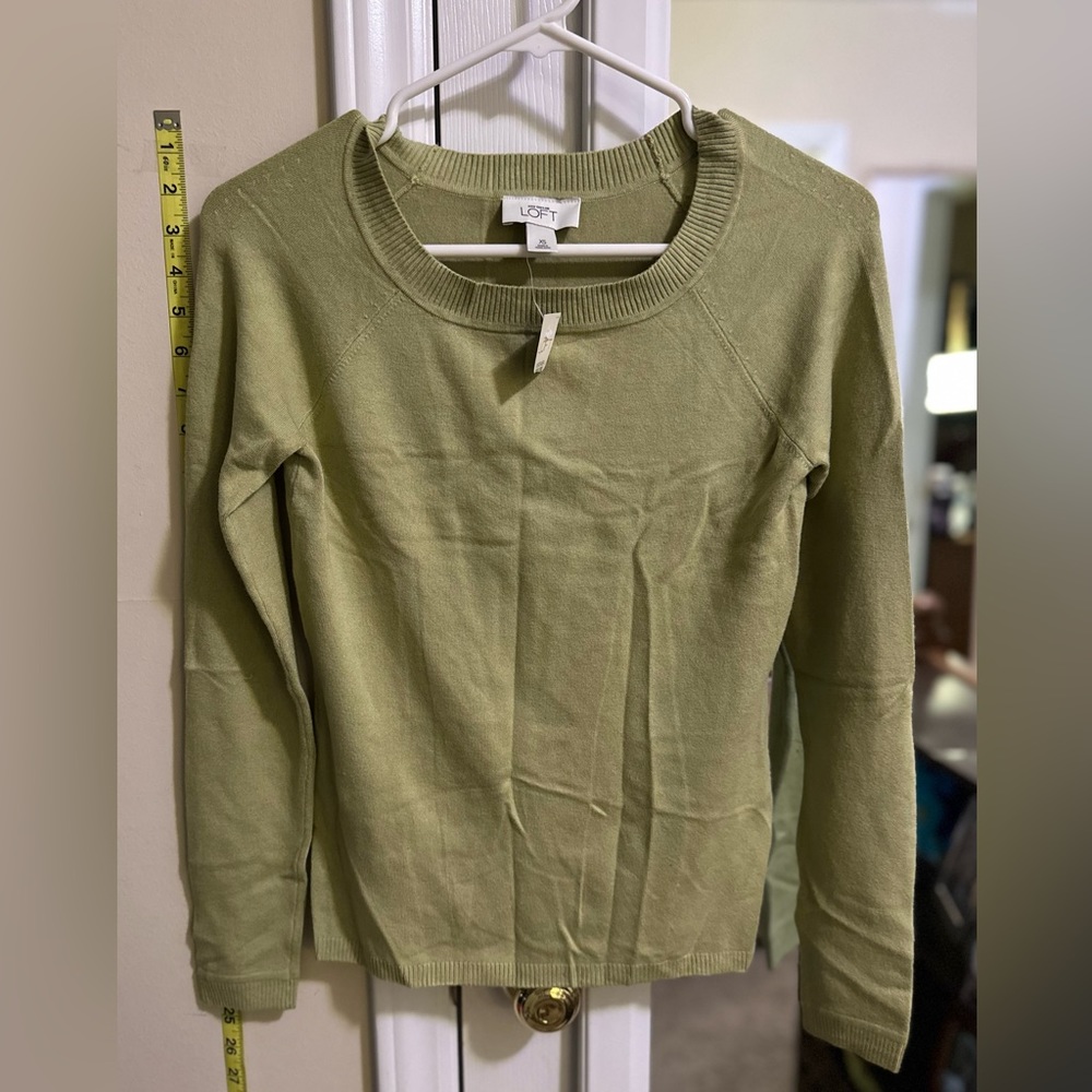 Ann Taylor Loft green sweater